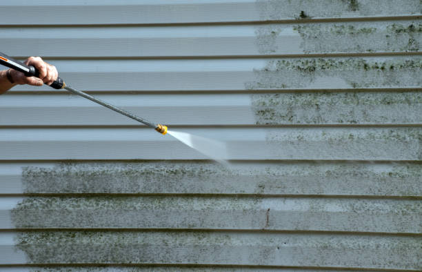 Best Fence Cleaning and Maintenance in Elkhorn, WI